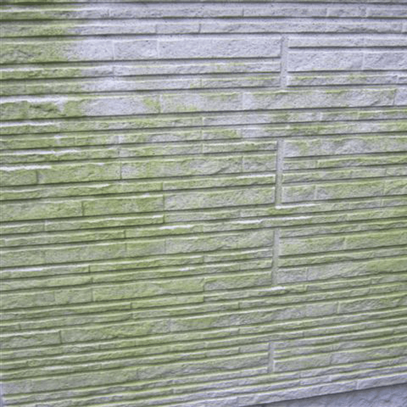 藻・コケの対処 - 外壁塗装 - コトブキ外装サービス